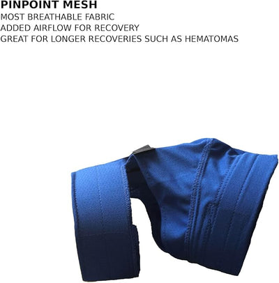 No Flap Ear Wrap (Blue Pinpoint Mesh, Large)