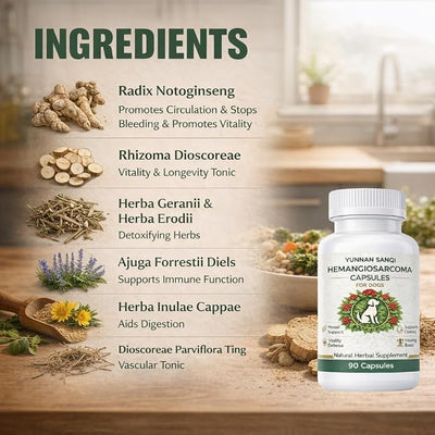 Yunnan Sanqi Capsules for Dogs - Pure Herbal Quick Stop Bleeding & Blood Support for Hemangiosarcoma, Hemoabdomen, Pericardial Effusion, Severe Bruising, Ulcer-Related Bleeding, 90 Capsules