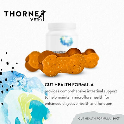 ThorneVET Gut Health Formula – Gastrointestinal Support for Dogs, Cats & Horses, 180 Soft Chews