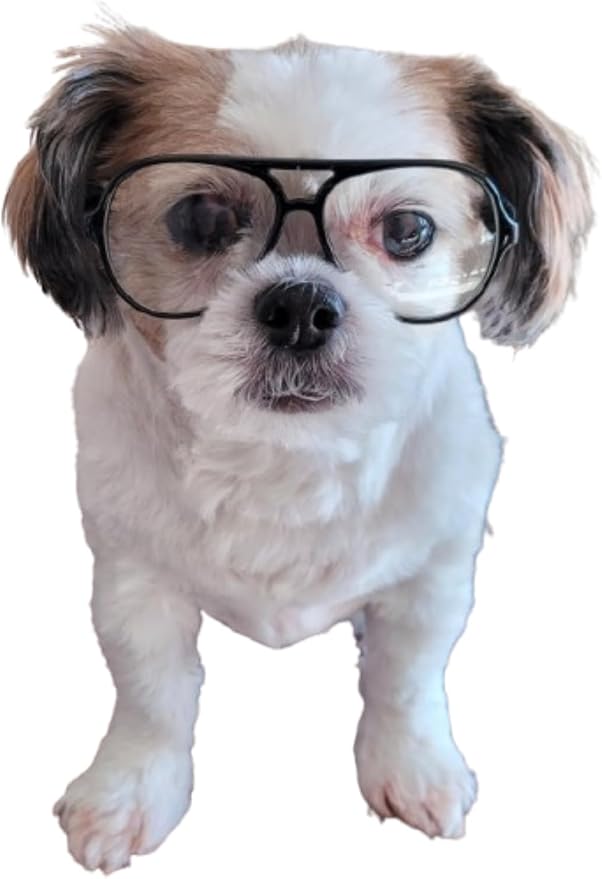 G002 Dog Pet Clear Lens Costume Glasses Small to Medium Breeds 12LBS~30LBS Prop Photoshoot Sunglasses (Aviator Black-Clear)