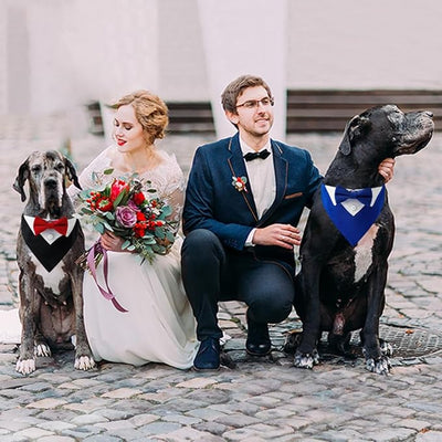 Tuxedo Dog Collar for Wedding Engagement and Birthday, Formal Dog Bandana Collar Costume with Bow Tie and Adjustable Buckle,Suitable for Small Medium Large Dog. (Red, L)