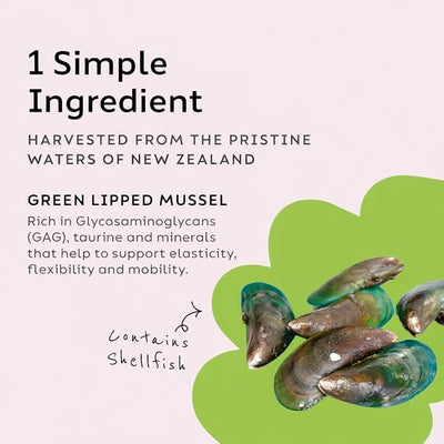 Super Snouts Joint Power – 60 Soft Chews – Joint Supplement for Dogs and Cats with Green Lipped Mussel Helps Ease Discomfort & Stiffness– Made in The USA