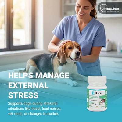 Vetoquinol Zylkene - Calming Oral Support for Medium Dogs & Large Cats - Supports Behavior & Occasional Anxiety - for Boarding, Vet Visits & Celebrations - Non-Drowsy & Lactose-Free - 30 Capsules