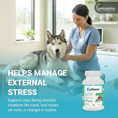 Vetoquinol Zylkene - Calming Oral Support for Medium Dogs & Large Cats - Supports Behavior & Occasional Anxiety - for Boarding, Vet Visits & Celebrations - Non-Drowsy & Lactose-Free - 120 Capsules