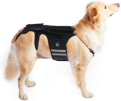 Coodeo Dog Back Brace for Dogs Arthritis, Pet Back Bracer for IVDD, Back Protector Helps Pain Relief, Surgical Recovery and Rehabilitation, Dogs Back Disease Prevention. (Black,XX-Large)