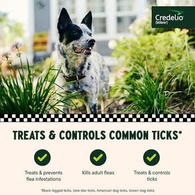 Credelio (lotilaner) Tick & Flea Treatment + Flea Infestation Protection for Dogs 25.1-50.0 lbs. (3 Tablets)