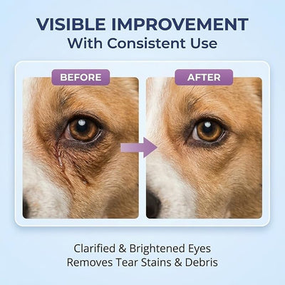 Dog Eye Cleaner Wash - 180ml Gentle Pet Eye Drops for Dogs Cats, Relieves Irritation Removes Debris Tear Stains pH Balanced Daily Pet Eye Care
