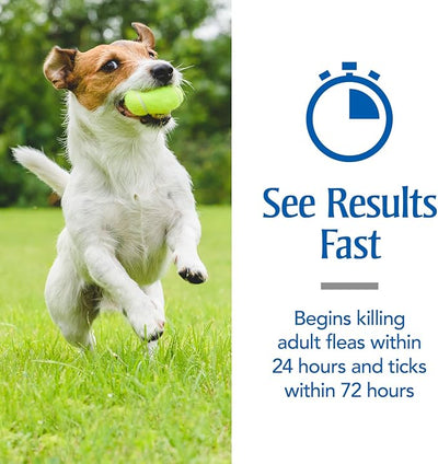 PetArmor for Dogs, Flea and Tick Treatment for Small Dogs (5-22 Pounds), Includes 6 Month Supply of Topical Flea Treatments
