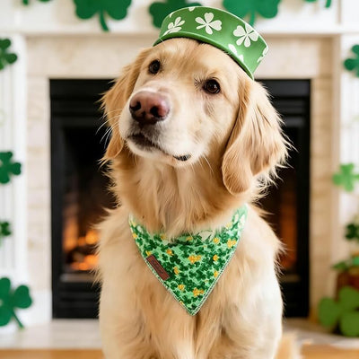 St. Patrick‘s Day Dog Bandana - Green Lucky Shamrock Dog Neck Scarf, Soft Pet Bib for Medium Large Dogs, Holiday Photo Dogs Cats Prop for Daily Use Parties & Pet Photography L
