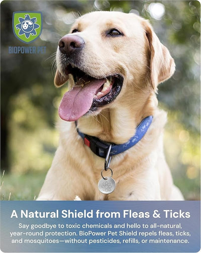 Shield Tag - Natural Flea & Tick Repellent Collar Tag for Dogs & Cats - Waterproof, Lasts 12 Months - Stainless Steel Pendant - Regular Tag (2 Pack)