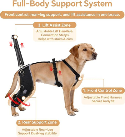 BALAPET Dog Rear Leg Brace for ACL/CCL Injury, Hinged Hind Leg Support Harness for Weak Back Legs, Torn ACL, Post-Surgery Recovery, Stairs, Car & Walking Assistance(L)