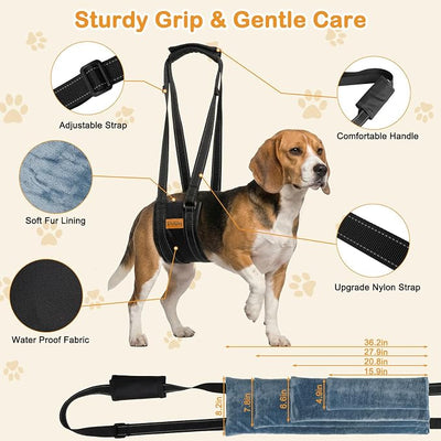 Vivifying Dog Lift Harness for Medium Dogs, Soft Flannel Hind Leg Support Sling, Adjustable Dog Lifting Harness for Weak Rear Legs, Senior Injured Disabled Dogs, ACL Surgery Mobility Assist, M, Gray