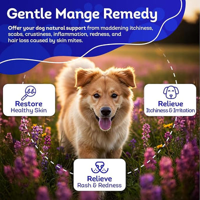 HA4E - Mange Relief for Dogs - Treatment for Itchiness, Scabs, & Hair Loss Caused by Mites - All-Natural, Homeopathic, Non-GMO, Organic, Preservative & Chemical Free, Tablets, Kennel Size