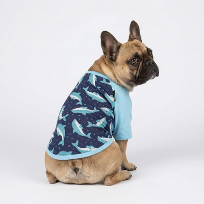 Fitwarm 2 Pack Dolphin & Fish Dog Shirt, Hawaiian Summer Clothes for Small Dogs Boy Girl, Lightweight Pet Outfit, Tea Blue, Green, XL