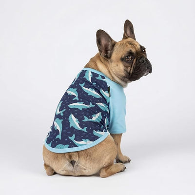 Fitwarm 2 Pack Dolphin & Fish Dog Shirt, Hawaiian Summer Clothes for Small Dogs Boy Girl, Lightweight Pet Outfit, Tea Blue, Green, Large