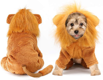 Rypet Dog Lion Costume Pet Clothes for Halloween Party Simulation Lion Pets Outfits Cosplay Dress up Clothes Pet Lions Hoodie Cat Costume for Party