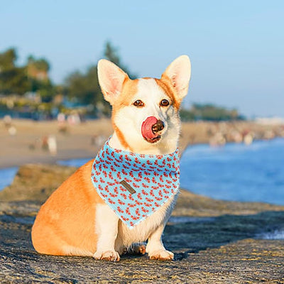 Lionheart glory Blue Stripe Dog Bandana 1 Pack Washable Soft Dog Scarf, Square Adjustable Dog Bandanas for Medium Large Dogs, N:Crabs