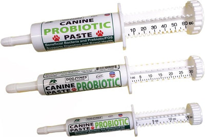 Dogzymes Canine Probiotic Paste Beneficial Bacteria-Enzyme 2.3 Billion CFU/gm Saccharomyces boulardii Organic Dried Honey Powder (60 Gram)