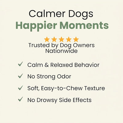 Calming Soft Chews for Dogs with Melatonin & L-Theanine – Daily Emotional Wellness Support – 120 Count