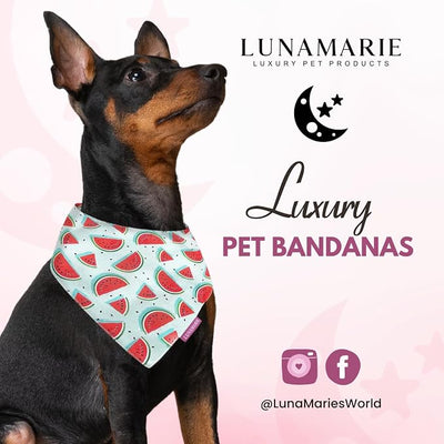 LunaMarie - Luxury Pet Birthday Bandanas -Premium & Silky Poly Fabric | 100% Handmade | Custom Shape Dual Layered (Watermelon, X-Small)