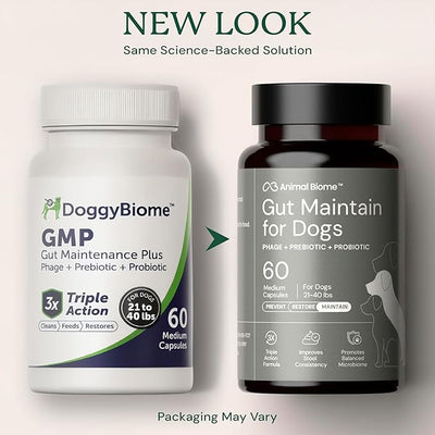 Animal Biome Probiotics for Dogs with S Boulardii, Gut Maintain (60 Capsules) – Triple-Action Medium Dog Probiotics, Prebiotics & Phage Supplements for Gut Health, Firmer Stool & Diarrhea Support