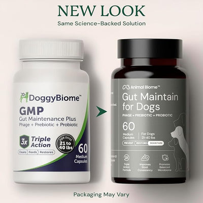 Animal Biome Probiotics for Dogs with S Boulardii, Gut Maintain (60 Capsules) – Triple-Action Large Dog Probiotics, Prebiotics & Phage Supplements for Gut Health, Firmer Stool & Diarrhea Support
