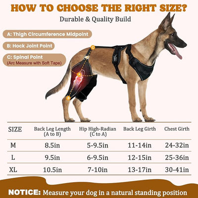 Dog Knee Braces for Back Leg, Adjustable Dog Leg Braces for Torn ACL Hind Leg with Metal Stabilizers, Better Recovery Knee Brace for Rear Leg Cruciate Ligament Injuries & Hip Dysplasia, M
