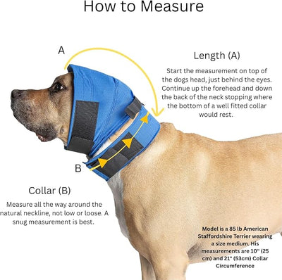 No Flap Ear Wrap (Blue Pinpoint Mesh, Medium)