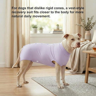 LovinPet Dog Recovery Suit, Snap-Back Post-Op Onesie for Large Dogs, Post-Spay Bodysuit for Female Dogs with Cushioned Belly Panel, Purple, XL