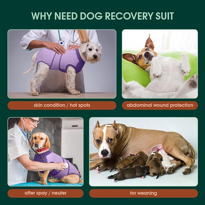 Kuoser Recovery Suit for Dogs After Surgery, Soft Dog Surgery Suit Female Male, Breathable Pet Surgical Recovery Shirt, Anti Licking Dog Onesie for Abdominal Wounds Cone Alternatives, Purple XL