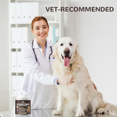 Turkey Tail Mushroom for Dogs, Organic 10 Mushroom Blend for Lumps and Bumps, Dog Herbal Supplements Probiotic with 50% β-Glucan, Joint Gut Immune Skin Support-70 Day Supply