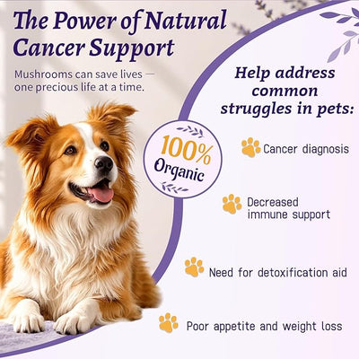 Dog Cancer Supplement 4 oz - Dog Cancer Care and Lumps & Bumps Support, 7 Organic Turkey Tail Mushroom Blend with Turmeric for Dog for Hemangiosarcoma, Hemoabdomen, Cancer & Vascular Support