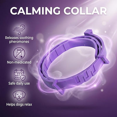 Calming Collar for Dogs 4 Pack – Pheromone Dog Anxiety Relief, Adjustable Silicone Collar, Separation Anxiety Relief for Dogs, Fits, Lasts 60 Days