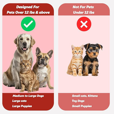 Pet Toothbrush for Dogs, Cats with Soft Bristles - Easy Teeth Cleaning & Dental Care, Non Slip Dual Head Dog Toothbrush for Medium & Large Pets, Toothpaste Not Included, Pack of 4 Multi