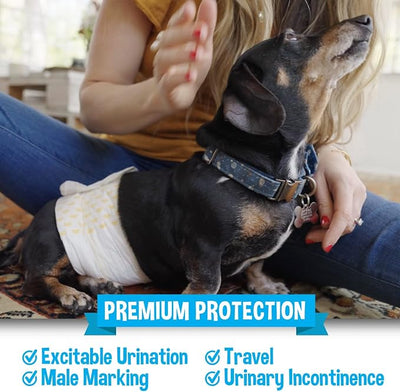 Bodhi Dog Disposable Male Dog Diapers - Super Absorbent, Leak-Proof Pee Wraps - Adjustable Fit, Comfortable Design, Advanced Moisture Control, and Wetness Indicator - Medium (20 Count)