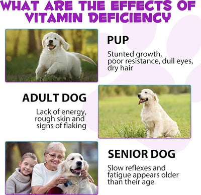 15-in-1 Dog Multivitamin Drops for Dogs | Liquid Multivitamin with Glucosamine, MSM & Omega for Joint, Heart, Immune & Skin Health | Easy Liquid Drops for Picky Eaters