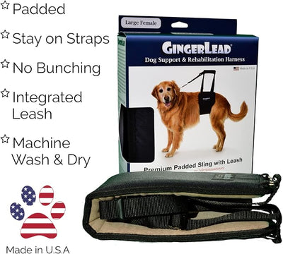 GINGERLEAD Dog Sling Support Harness, LG Female fits Big Dogs Over 65 lbs. Padded Rear Lift with Integrated Leash to Assist Senior K9s, or Recovery from Knee/TPLO, Hip or Back Surgery. Made in U.S.A.