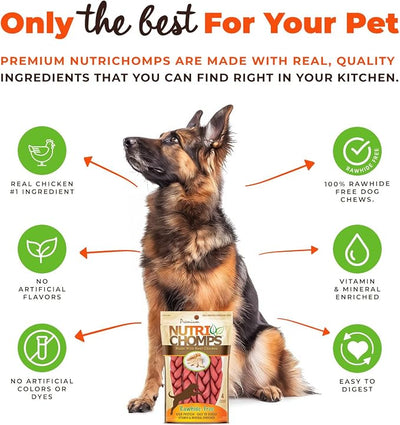 NutriChomps Dog Chews, 6-inch Braids, Easy to Digest, Rawhide-Free Dog Treats, Healthy, 4 Count, Real Chicken flavor