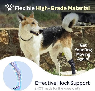 Labra Dog Rear Leg Hock Joint Compression Wrap - Supportive Brace for Weak Back Legs, ACL Tear, and Joint Discomfort - Adjustable Hind Leg Support for Senior Dogs - Small