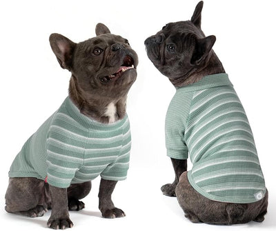 KYEESE 2Pack Waffle Dog Shirt with Sleeves, Lightweight Dog T Shirts for Small Medium Dogs Boy Girl, Breathable Pet Tee Shirts Soft Dogs Clothes for Daily Wear, Green+Striped, XL