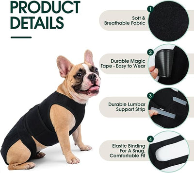 Dog Back Brace for IVDD Recovery, Adjustable Dog Spine Support Harness for Dachshund Corgi French Bulldog Pug, Pain Relief Back Protector for Senior,Post‑Surgery,Long‑Bodied & Overweight Dogs, S