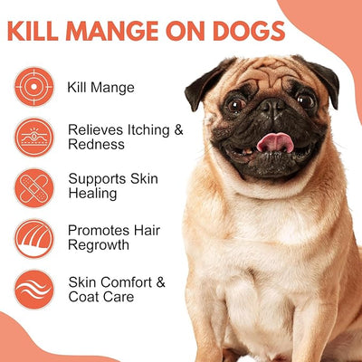 Mange Treatment Dogs, Mange Medicine for Dogs, Snooths Itching & Scratching, Promotes Hair Growth, Reduces Inflammation, Supports Skin & Coat Health, 200 Odorless Tablets