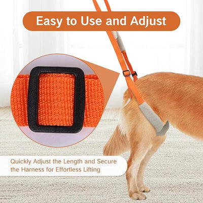 Sling for Dogs Back Legs Rear Support Harness for Paralyzed or Handicapped Pets Assistance Lift Slings for Hind Leg Mobility Small Dog Handicap Supplies for Joint Injuries and Stability (Orange)