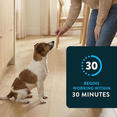 Capstar(nitenpyram) for Dogs Fast-Acting Oral Flea Treatment for Dogs 2-25 lbs, Vet-Recommended Medication Tablets Start Killing in 30 Minutes, 60 Doses
