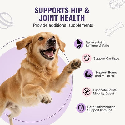 Glucosamine for Dogs 200pcs Joint Support Supplement Dog Hip and Joint Chondroitin Chews Treats with MSM Dog Joint Pain Relief Mobility Supplements Duck Flavor Fit All Large Small Medium Breed