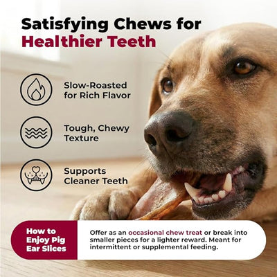 Best Pet Supplies GigaBite Premium Roasted Pig Ear Slivers for Dogs, 1.8 Pounds - Natural Dog Chews that Help Clean Teeth and Gums Safe for Puppies and Aggressive Chewers