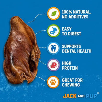 Jack&Pup Pig Ears for Dogs (65 Pack) - All Natural Single Ingredient Extra Thick Large Pigs Ears - Premium Dog Pig Ear Treats - Natural Dog Pork Chews; Excellent Rawhide Alternative