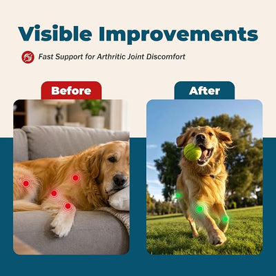 Dogs and Cats Pain Relief Tablets | Joint & Hip Pain Support|Arthritis, Aches and Swelling Keep pup Mobile|100% Veterinarian Formulated,for All Breeds,Ages & Weights, 90 Count