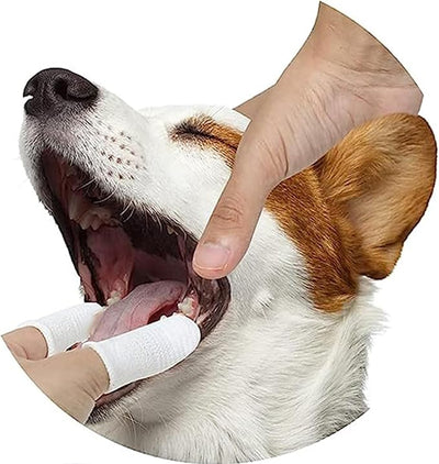 Pet Republique Soft Fabric Finger Toothbrush Kit for Dogs and Cats – Washable & Reusable (6 Count)