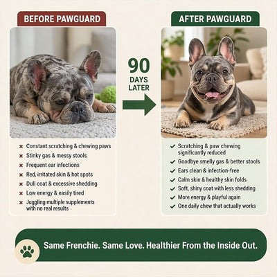PawGuard French Bulldog Longevity Chews, Breed-Specific Formula for Gut Health, Skin & Coat, Immune System, Joint Mobility Pork Flavor, 60 Count Probiotics Chews (1 PC)
